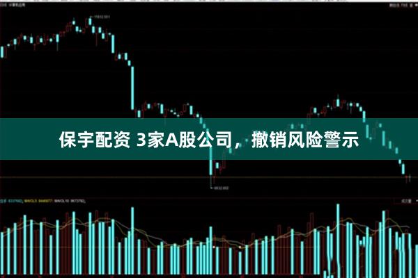 保宇配资 3家A股公司，撤销风险警示