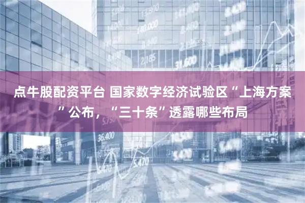 点牛股配资平台 国家数字经济试验区“上海方案”公布，“三十条”透露哪些布局